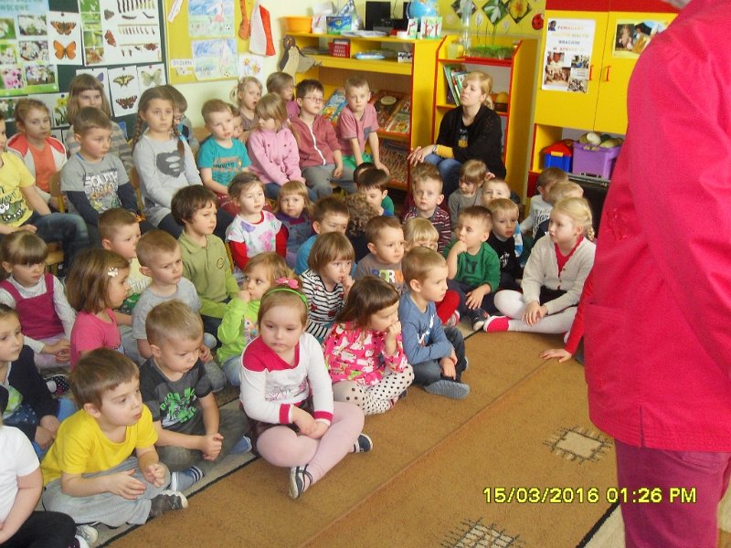 SDC13093 (1024x768).jpg -  